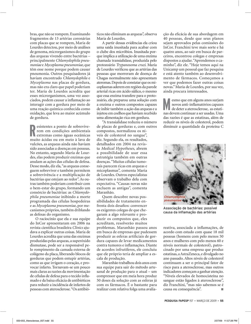 principalmente Chlamydophila pneumoniae e Mycoplasma pneumoniae, que têm esse nome porque podem causar pneumonia.