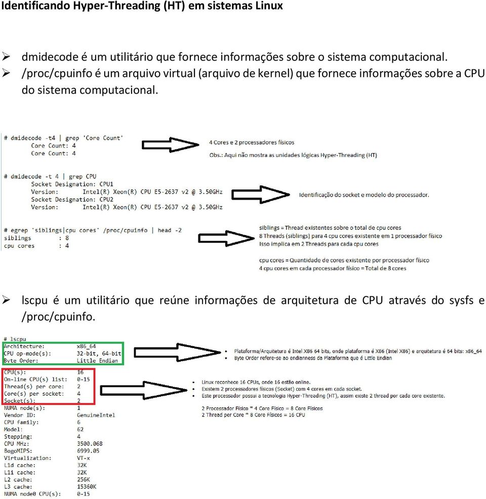 /proc/cpuinfo é um arquivo virtual (arquivo de kernel) que fornece informações sobre a