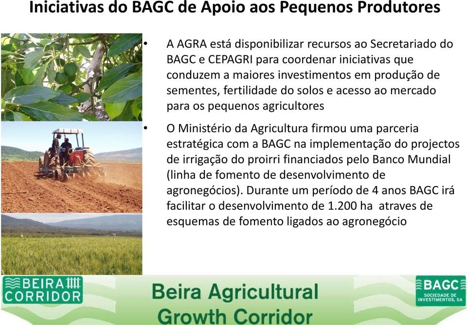 firmou uma parceria estratégica com a BAGC na implementação do projectos de irrigação do proirri financiados pelo Banco Mundial (linha de fomento de