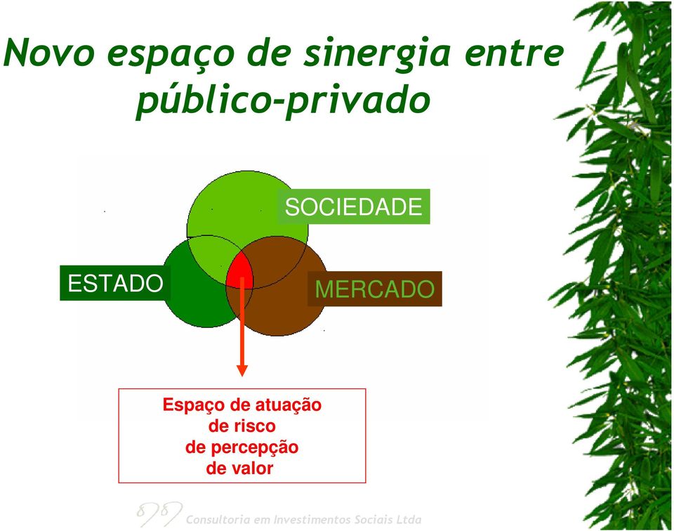 ESTADO MERCADO Espaço de