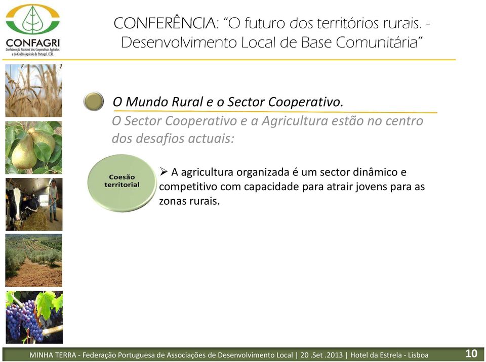 agricultura organizada é um sector dinâmico e competitivo com capacidade para atrair