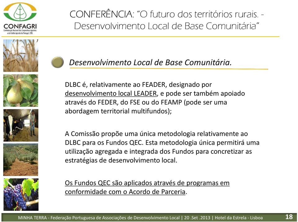 territorial multifundos); A Comissão propõe uma única metodologia relativamente ao DLBC para os Fundos QEC.