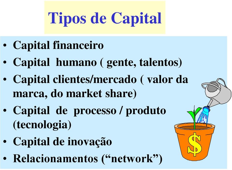marca, do market share) Capital de processo / produto