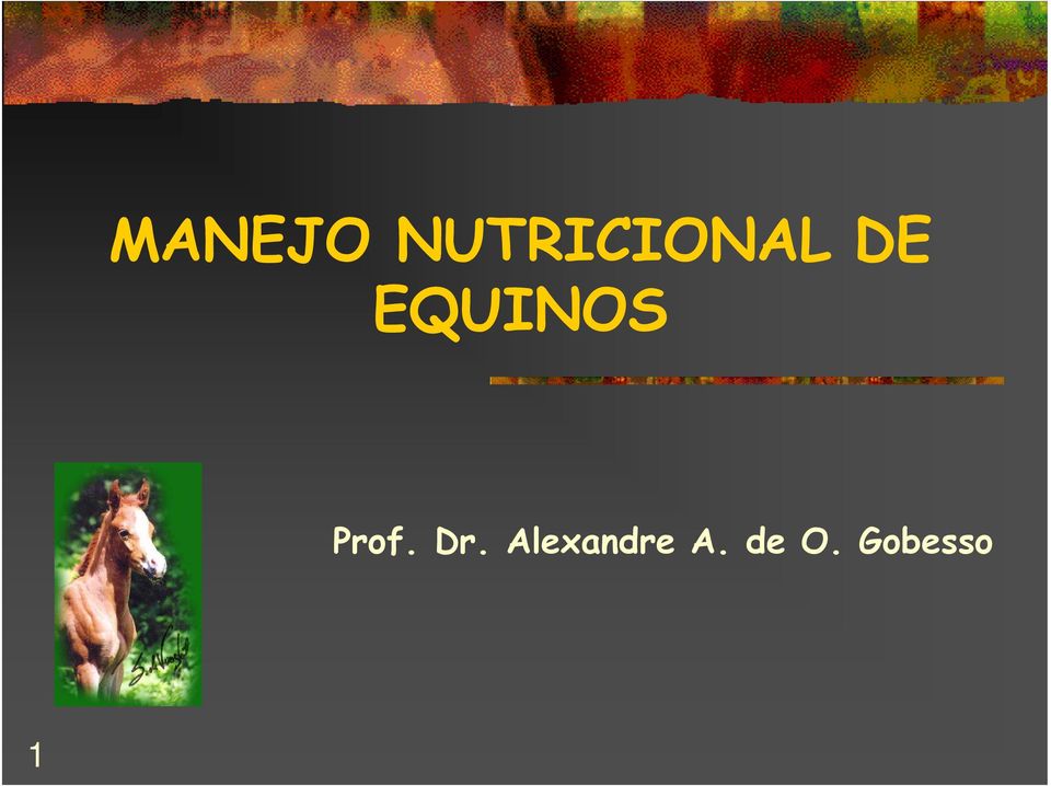 EQUINOS Prof. Dr.