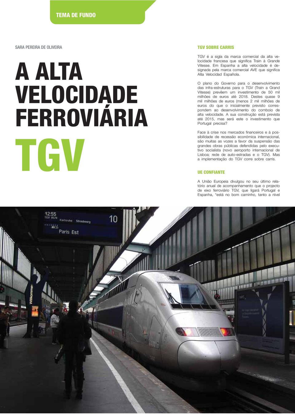 O plano do Governo para o desenvolvimento das infra-estruturas para o TGV (Train a Grand Vitesse) prevêem um investimento de 50 mil milhões de euros até 2018.