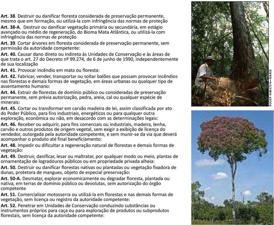 Cortar árvores em floresta considerada de preservação permanente, sem permissão da autoridade competente: Art. 40.