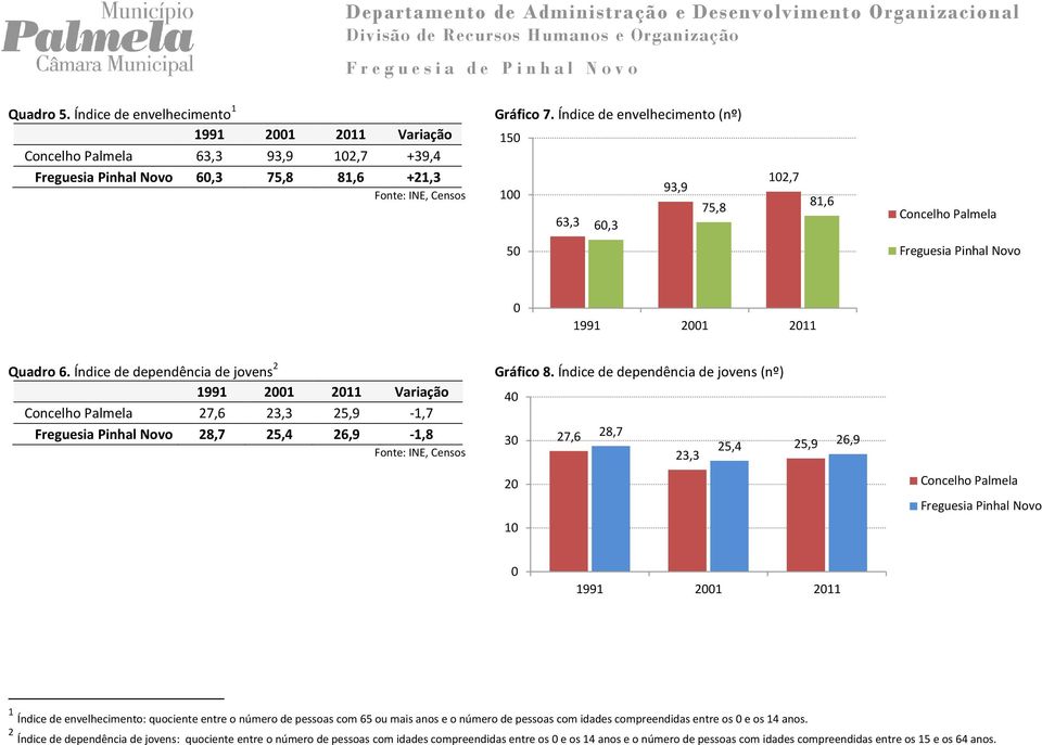 Índice de dependência de jovens 2 1991 21 211 Variação 27,6 23,3 25,9-1,7 28,7 25,4 26,9-1,8 Gráfico 8.