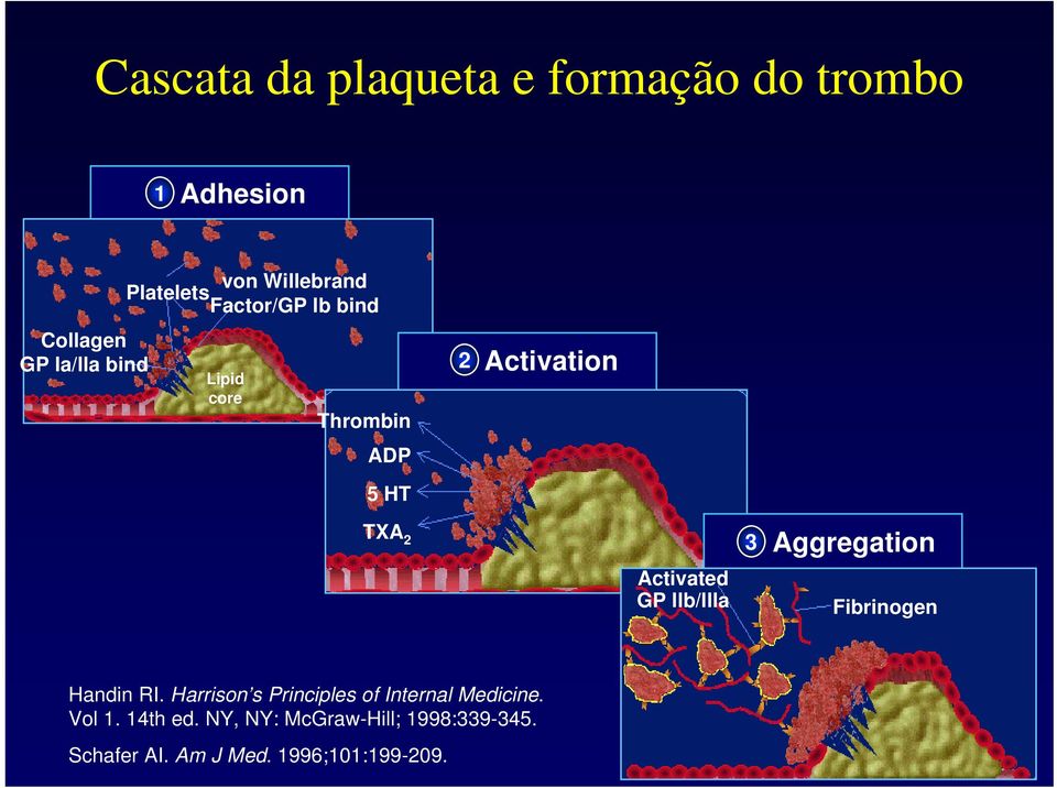 Activated GP llb/llla 3 Aggregation Fibrinogen Handin RI.