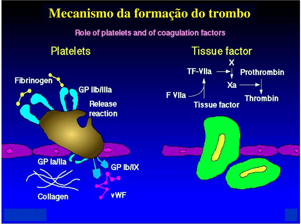 formação