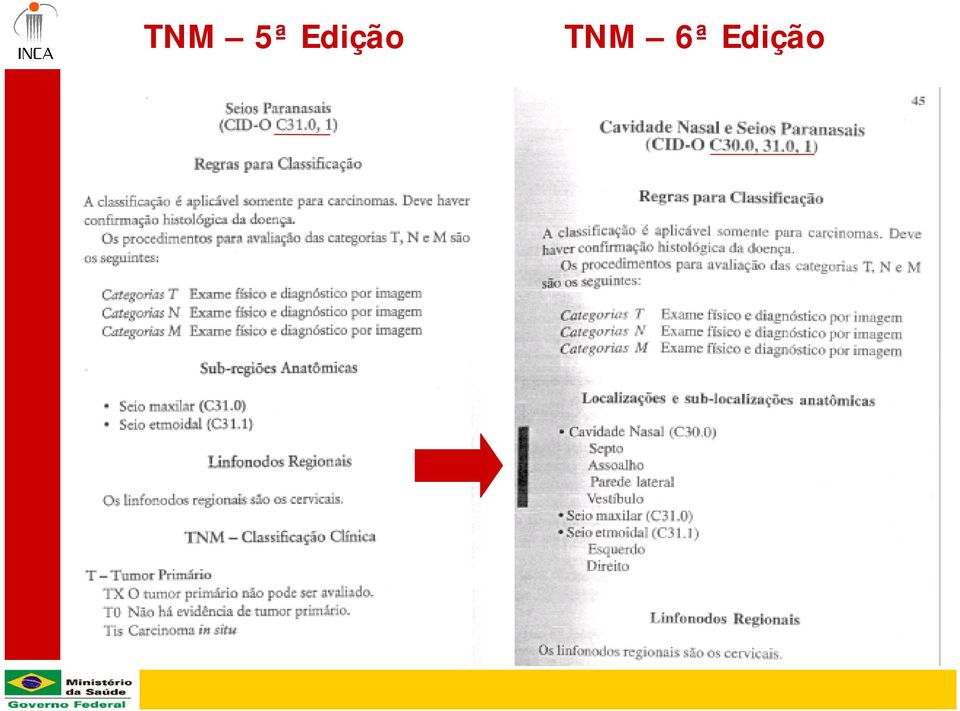 TNM 6ª