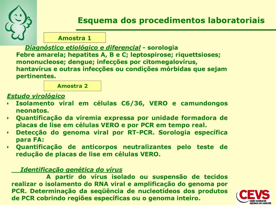 Quantificação da viremia expressa por unidade formadora de placas de lise em células VERO e por PCR em tempo real. Detecção do genoma viral por RT-PCR.