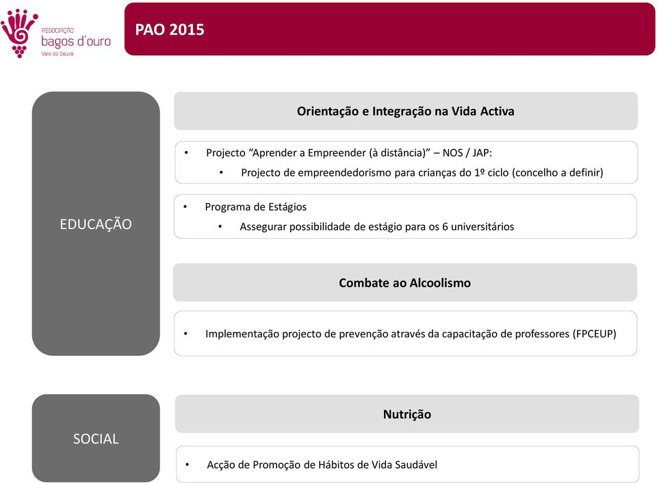 possibilidade de estágio para os 6 universitários Combate ao Alcoolismo Implementação projecto de