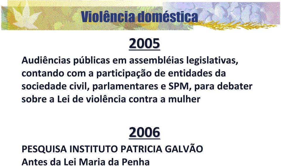 civil, parlamentares e SPM, para debater sobre a Lei de violência