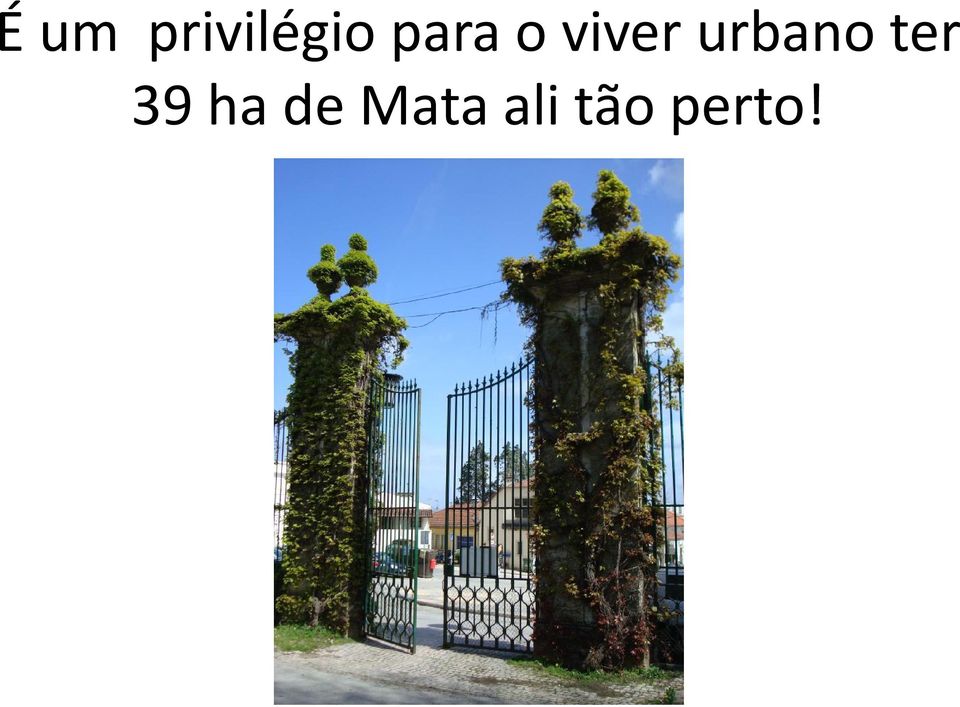 urbano ter 39 ha