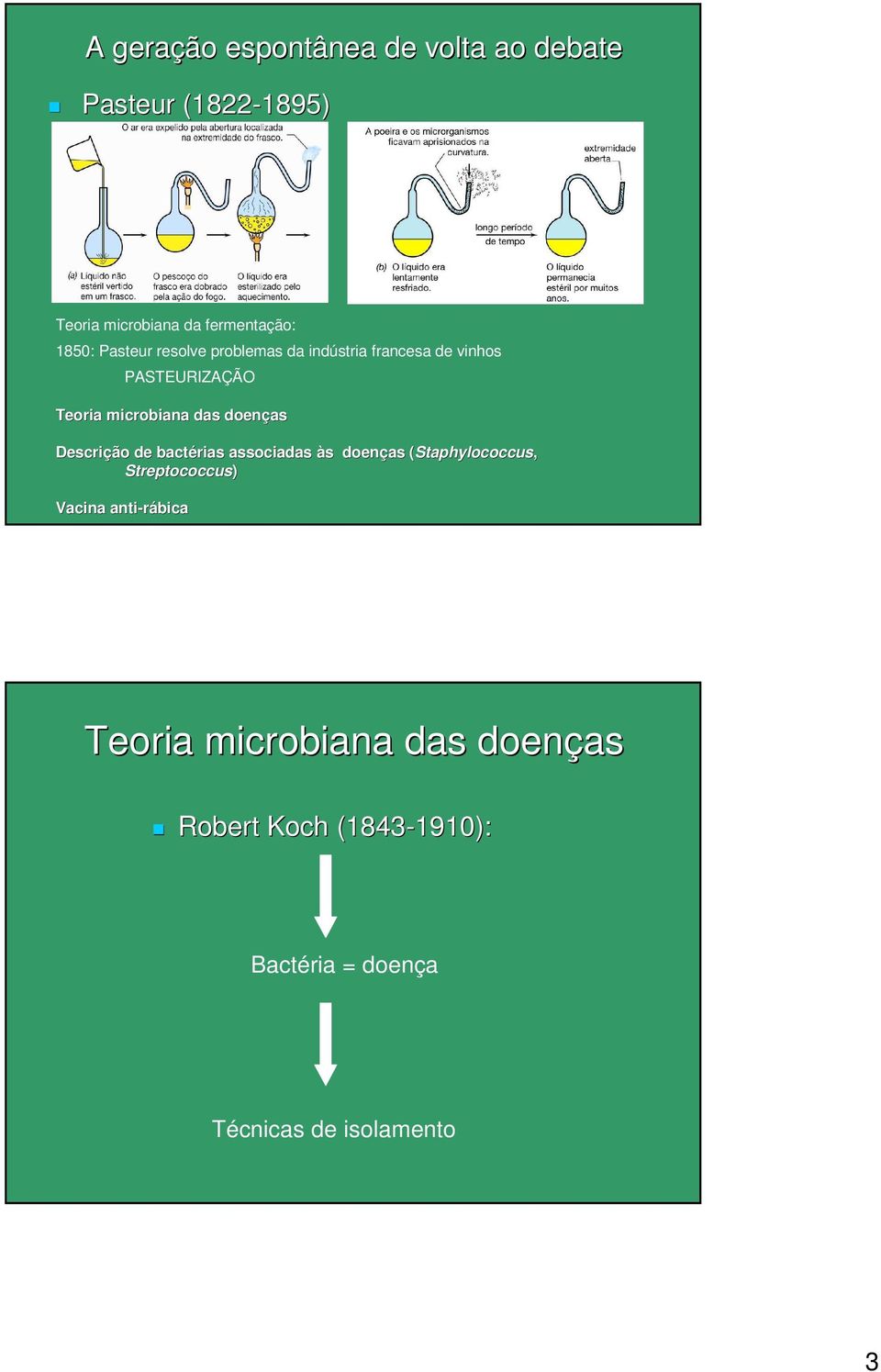 Descrição de bactérias associadas às s doenças (Staphylococcus( Staphylococcus, Streptococcus) Vacina