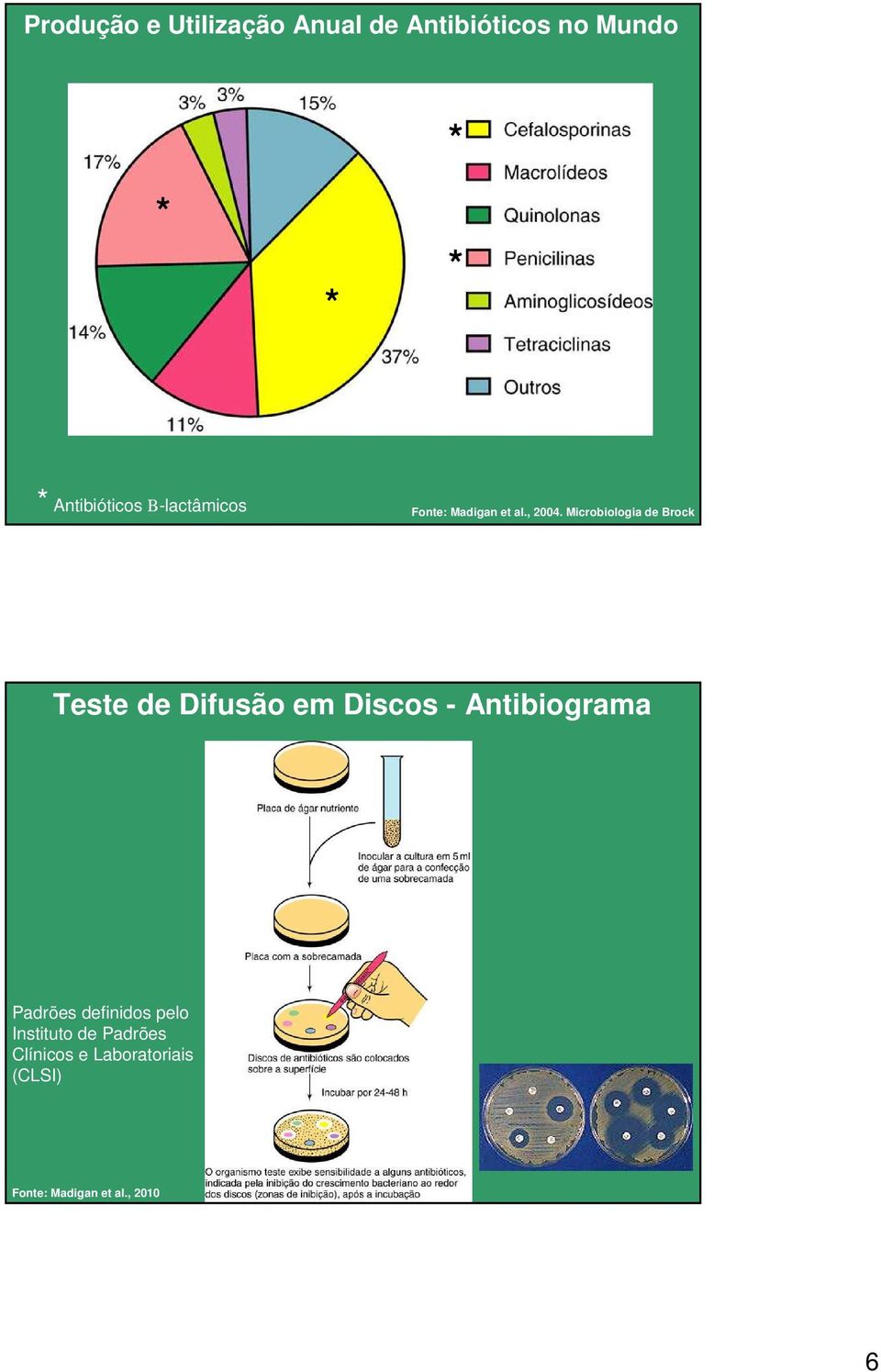 Microbiologia de Brock Teste de Difusão em Discos - Antibiograma