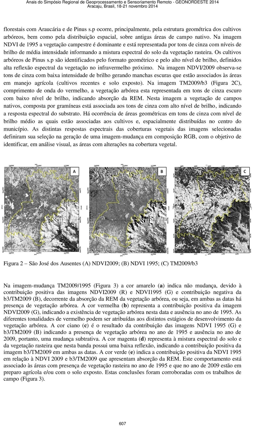 Os cultivos arbóreos de Pinus s.p são identificados pelo formato geométrico e pelo alto nível de brilho, definidos alta reflexão espectral da vegetação no infravermelho próximo.