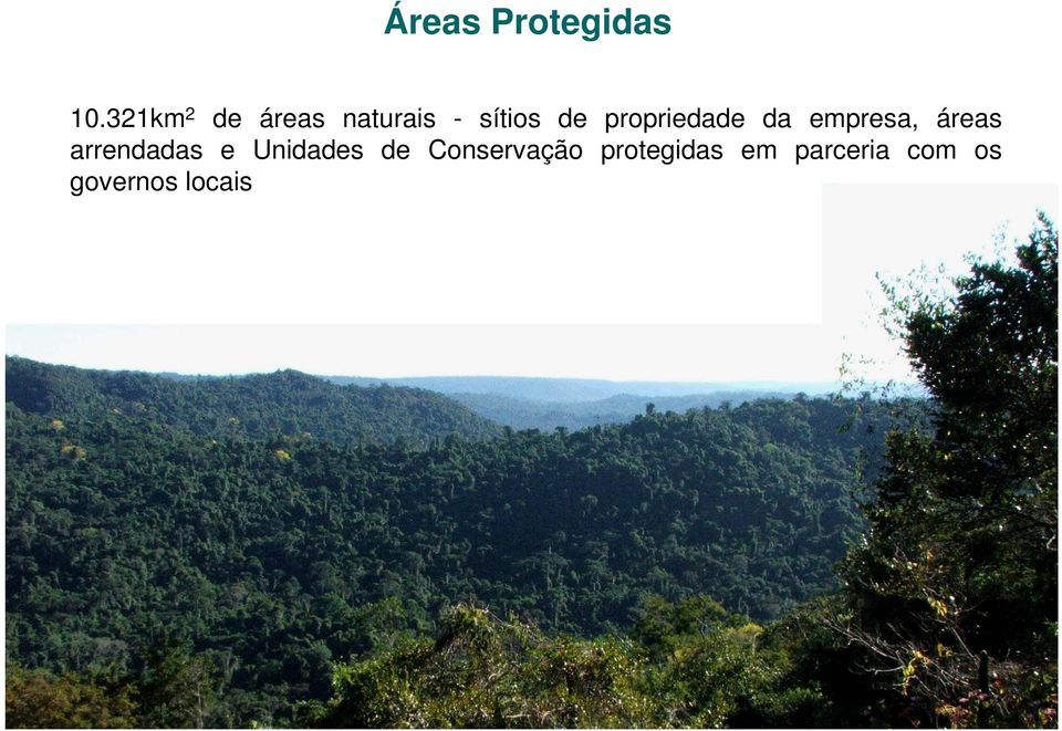 propriedade da empresa, áreas arrendadas e