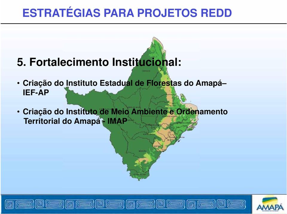 Estadual de Florestas do Amapá IEF-AP Criação do