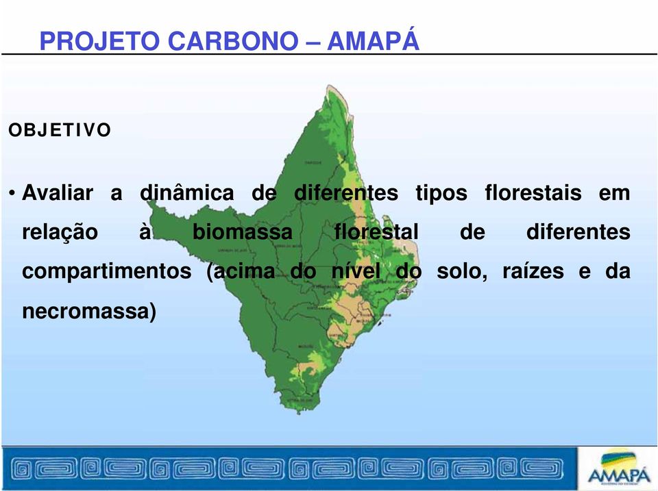 relação à biomassa florestal de diferentes