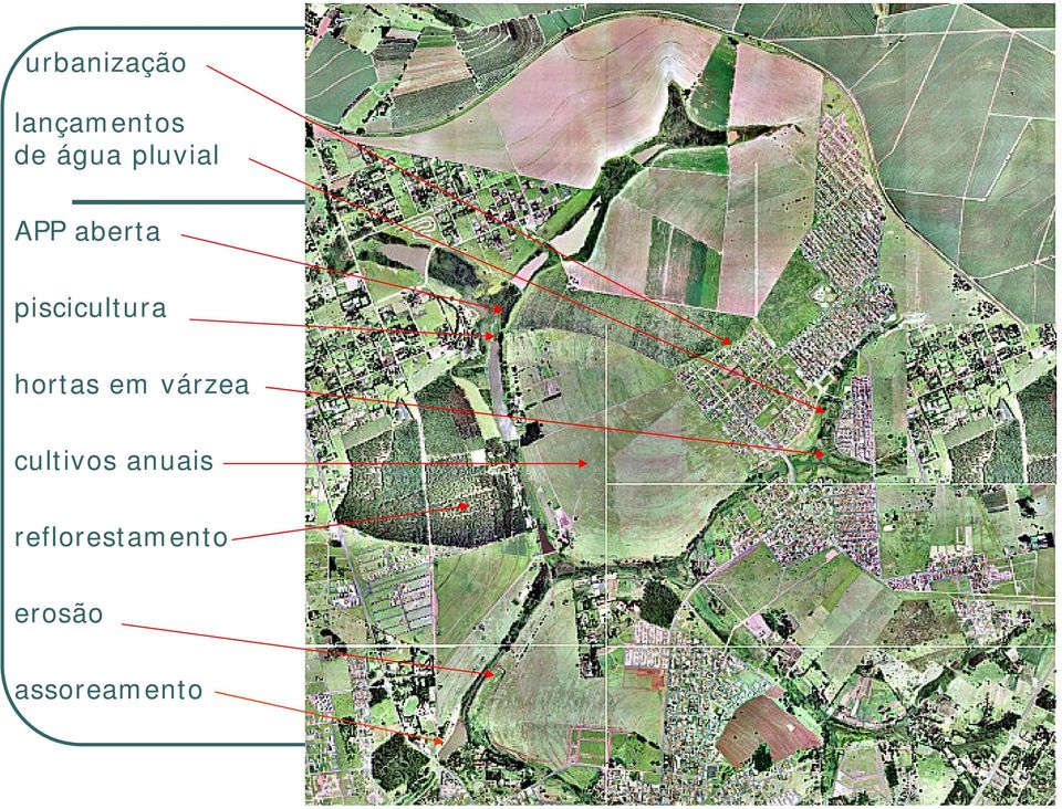 hortas em várzea cultivos anuais