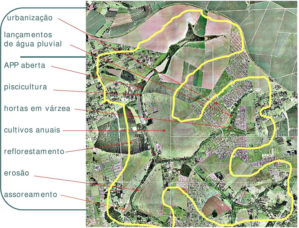 hortas em várzea cultivos anuais