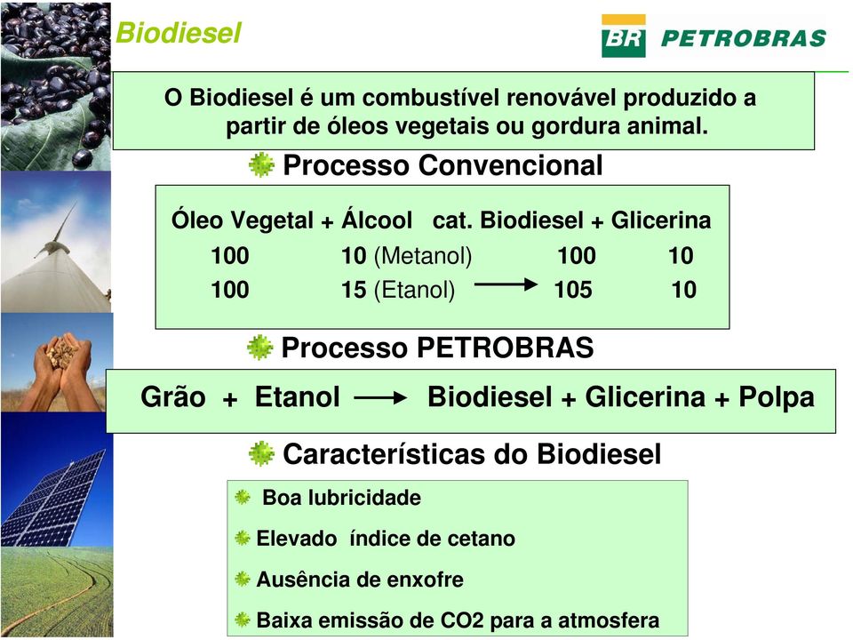 Biodiesel + Glicerina 100 10 (Metanol) 100 10 100 15 (Etanol) 105 10 Processo PETROBRAS Grão + Etanol