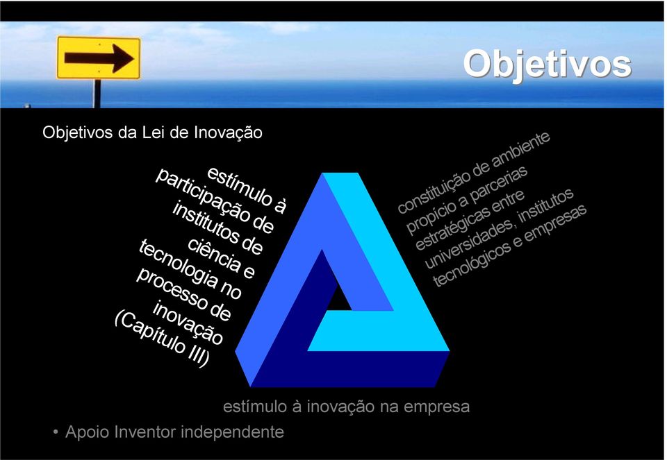 ambiente propício a parcerias estratégicas entre universidades, institutos