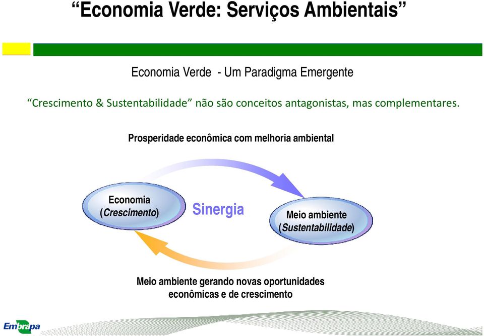 Prosperidade econômica com melhoria ambiental Economia (Crescimento) Sinergia Meio