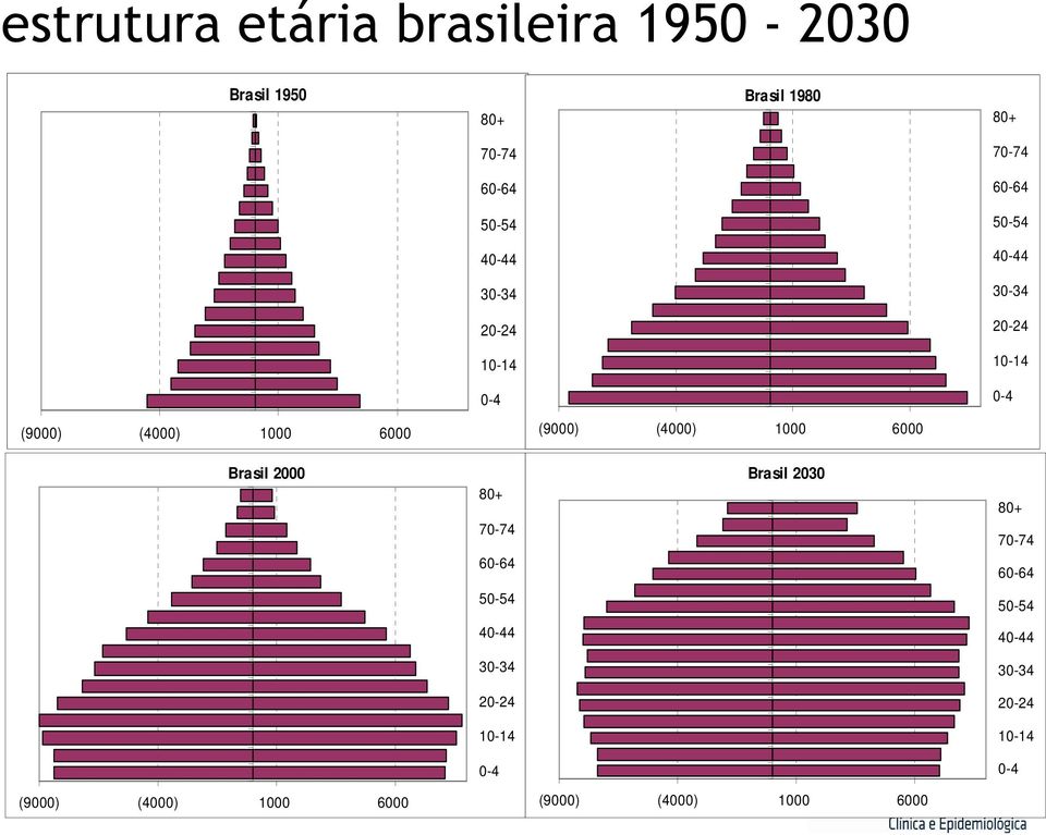 (9000) (4000) 1000 6000 Brasil 2000 80+ 70-74 60-64 Brasil 2030 80+ 70-74 60-64  (9000) (4000)