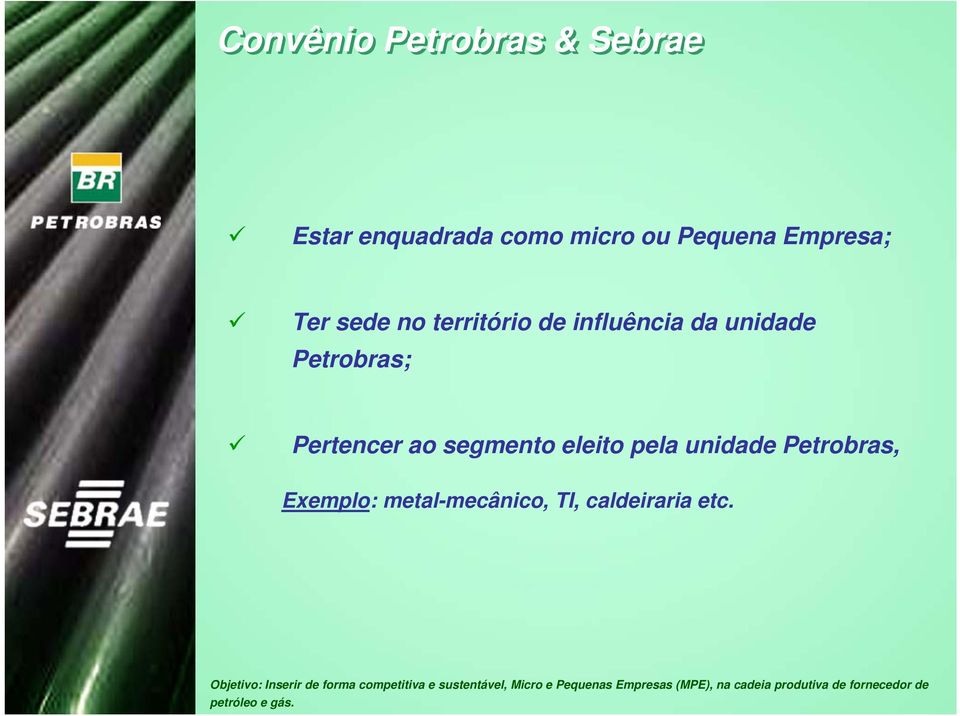 Petrobras; Pertencer ao segmento eleito pela