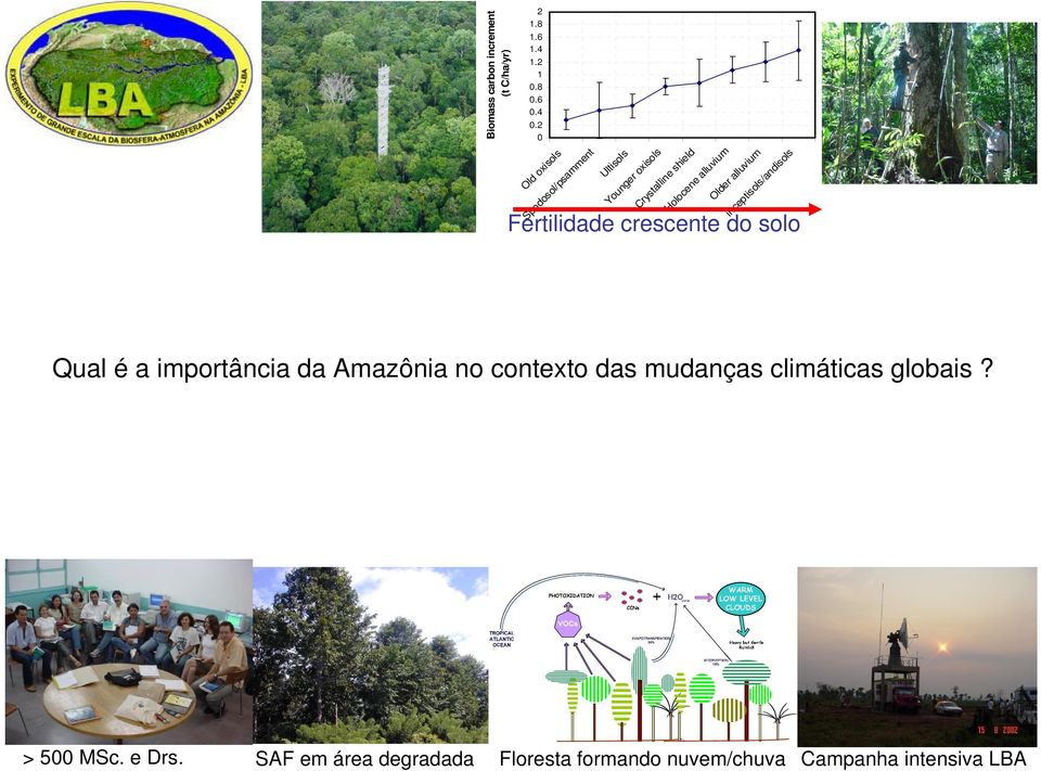 Crystalline shield Holocene alluvium Older alluvium inceptisols/andisols Fertilidade crescente do