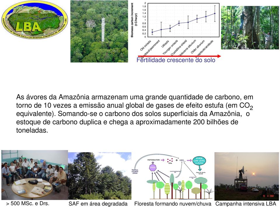 inceptisols/andisols As ávores da Amazônia armazenam uma grande quantidade de carbono, em torno de 10 vezes a emissão anual global de gases de efeito