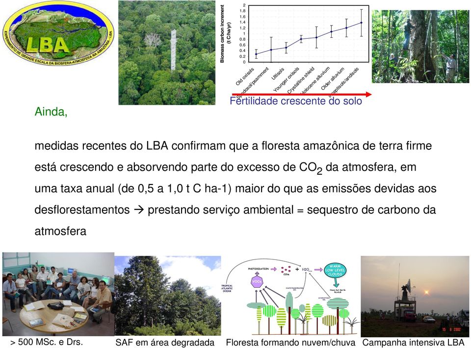 inceptisols/andisols medidas recentes do LBA confirmam que a floresta amazônica de terra firme está crescendo e absorvendo parte do excesso de CO 2 da