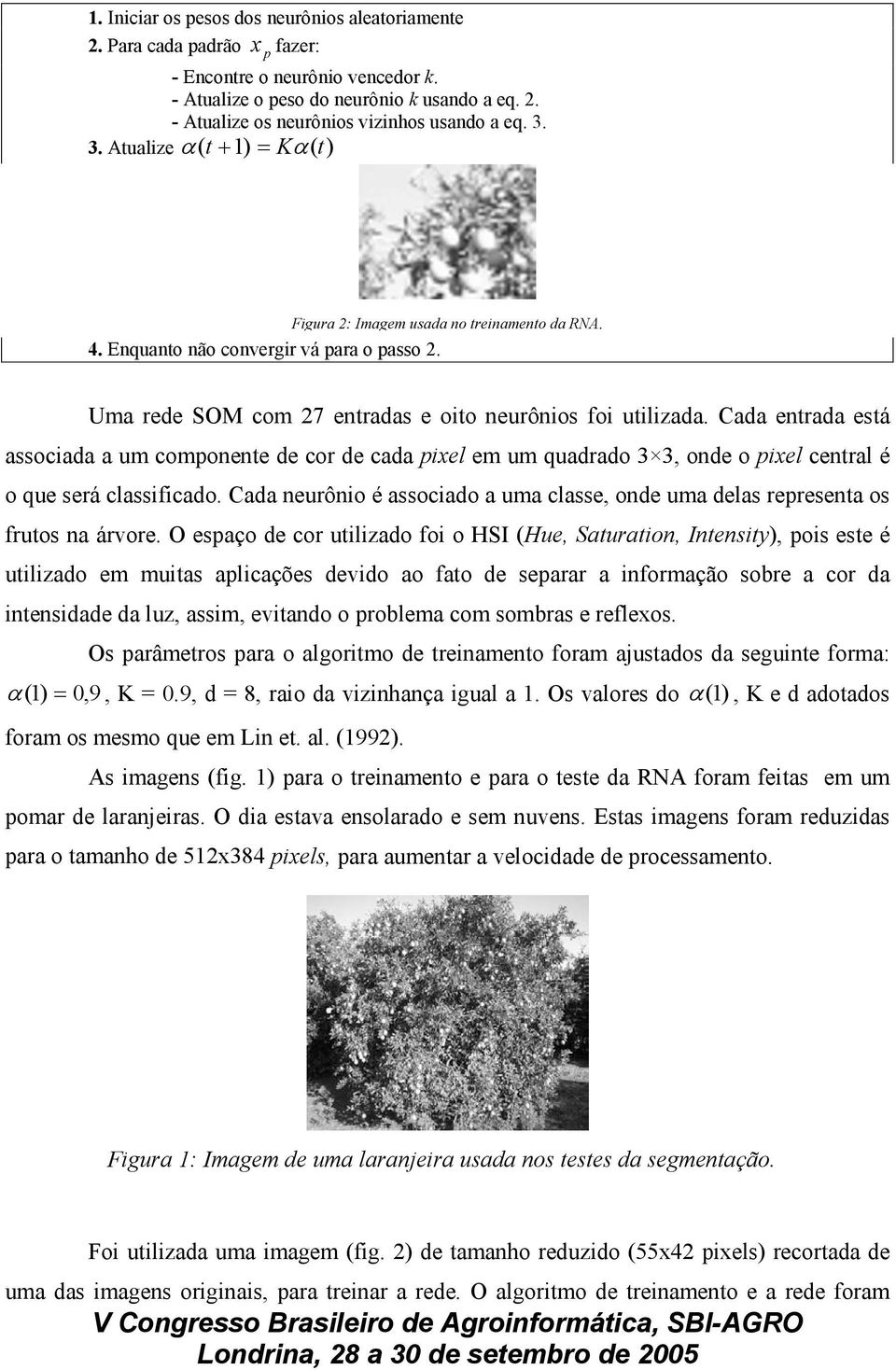 Cada entrada está associada a um componente de cor de cada pixel em um quadrado 3 3, onde o pixel central é o que será classificado.