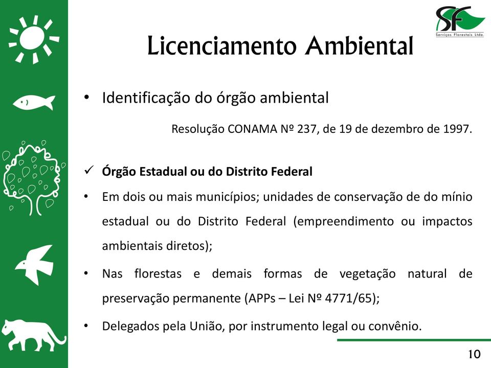 (empreendimento ou impactos ambientais diretos); Nas florestas e demais formas de vegetação