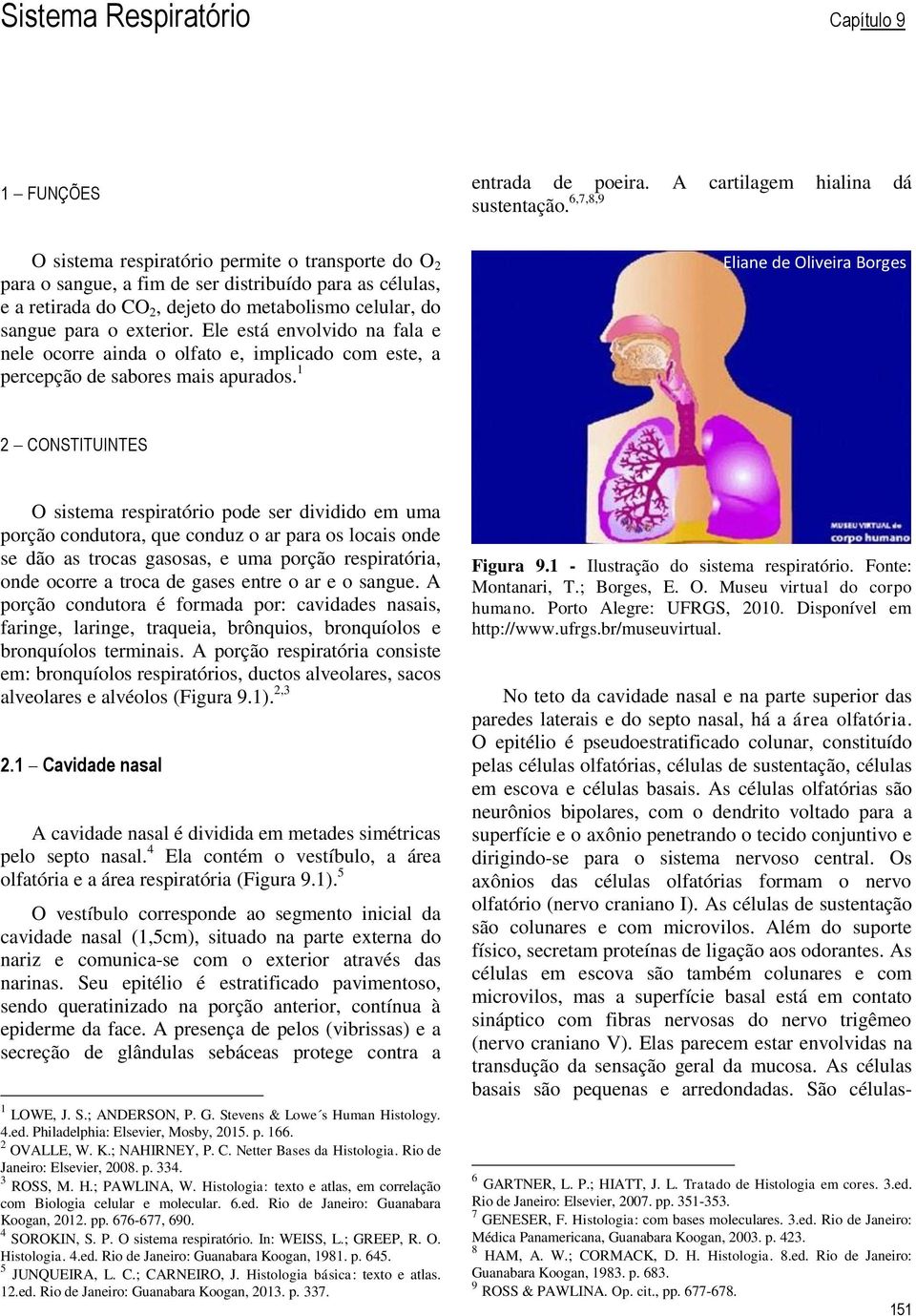 Ele está envolvido na fala e nele ocorre ainda o olfato e, implicado com este, a percepção de sabores mais apurados.