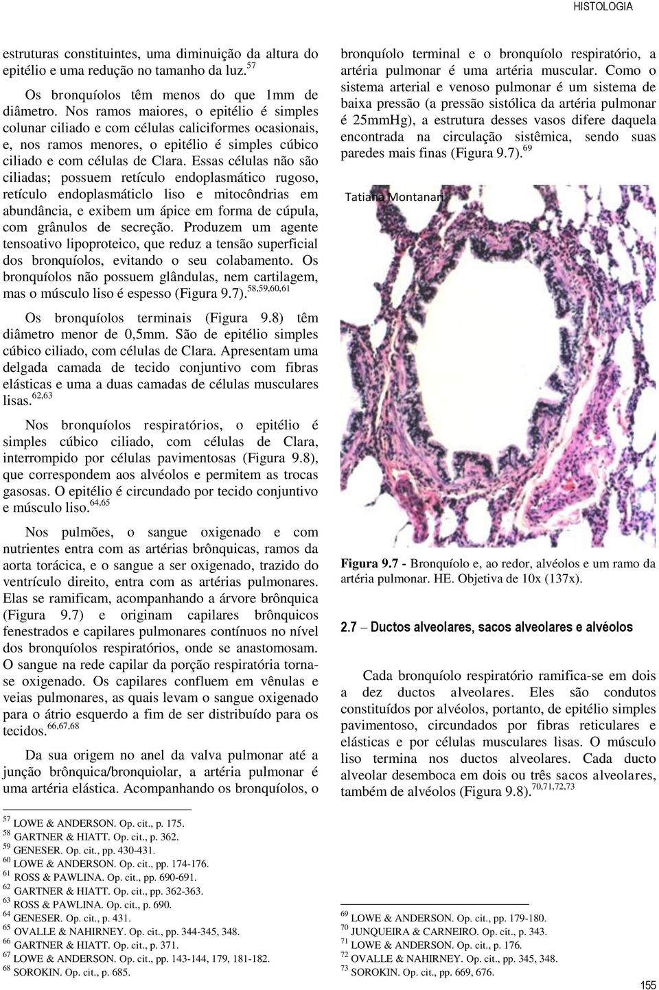 Essas células não são ciliadas; possuem retículo endoplasmático rugoso, retículo endoplasmáticlo liso e mitocôndrias em abundância, e exibem um ápice em forma de cúpula, com grânulos de secreção.