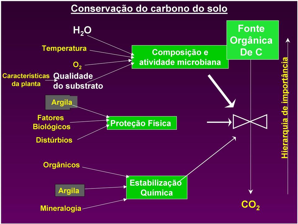 Orgânicos Composição e atividade microbiana Proteção Física Fonte