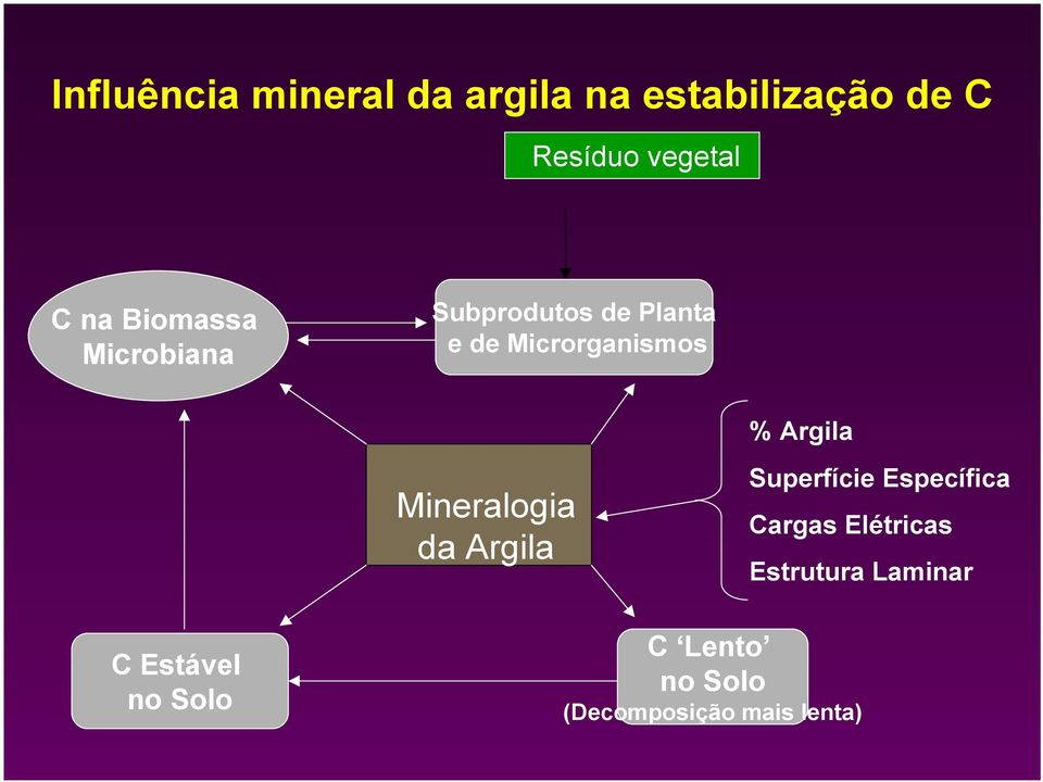 % Mineralogia da Superfície Específica Cargas Elétricas Estrutura