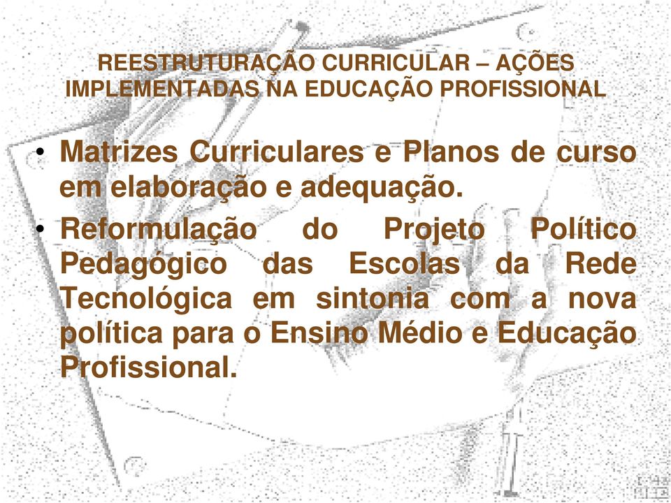 Reformulação do Projeto Político Pedagógico das Escolas da Rede