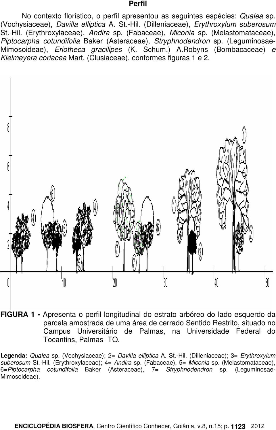 Robyns (Bombacaceae) e Kielmeyera coriacea Mart. (Clusiaceae), conformes figuras 1 e 2.
