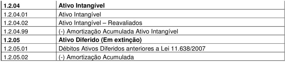 2.05.01 Débitos Ativos Diferidos anteriores a Lei 11.638/2007 1.2.05.02 (-) Amortização Acumulada