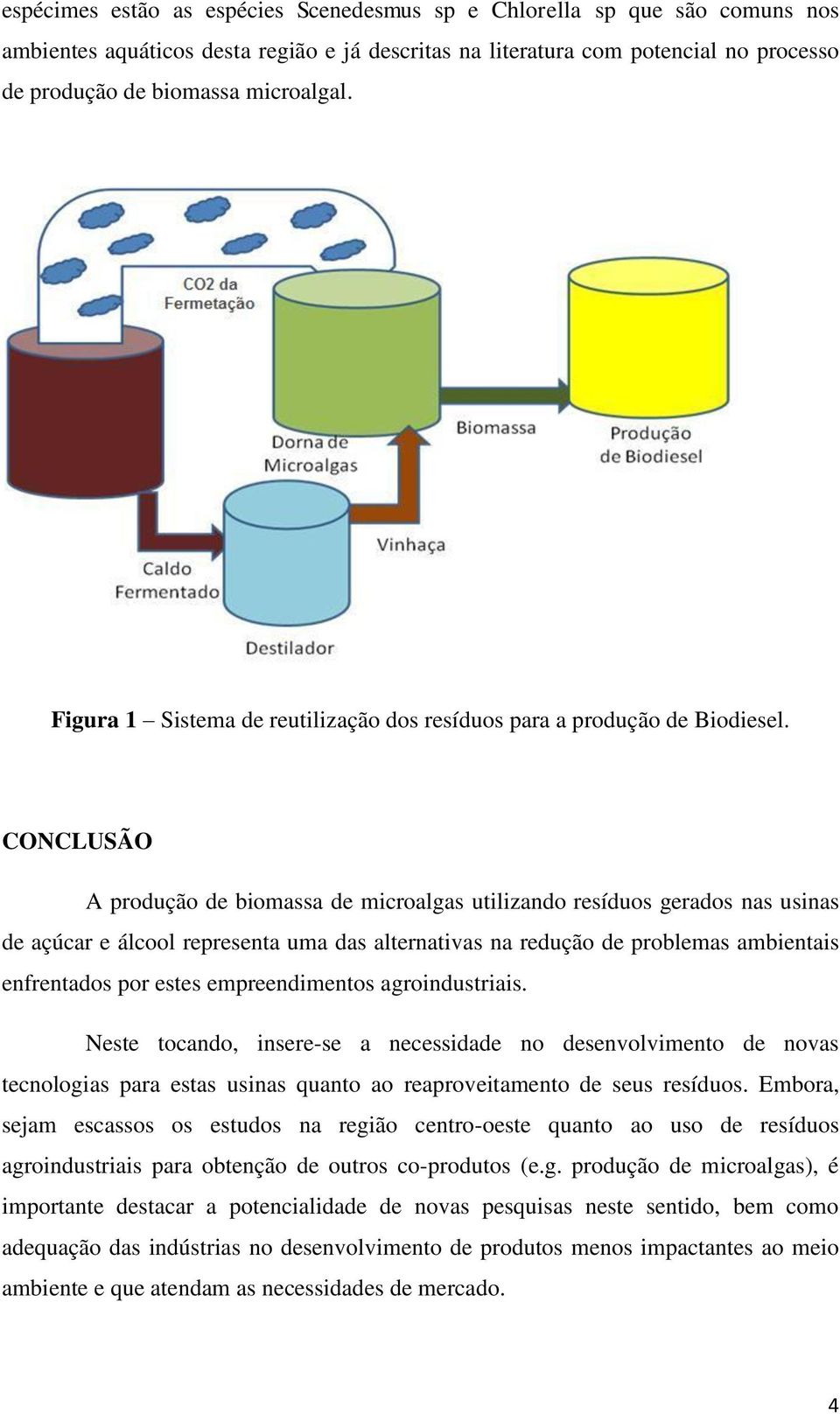 CONCLUSÃO A produção de biomassa de microalgas utilizando resíduos gerados nas usinas de açúcar e álcool representa uma das alternativas na redução de problemas ambientais enfrentados por estes