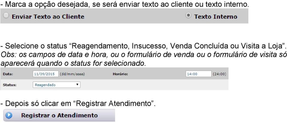 Obs: os campos de data e hora, ou o formulário de venda ou o formulário de visita