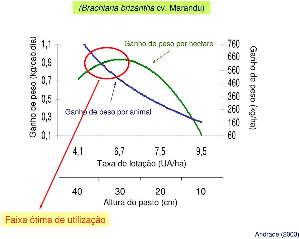 animal 4,1 6,7 7,5 9,5 Taxa de lotação (UA/ha) 76 66 56 46 36 26