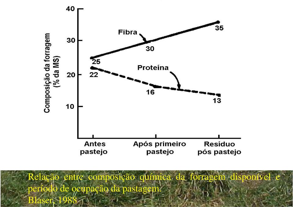 disponível e período de