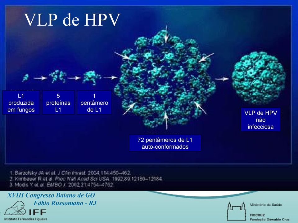 pentâmero de L1 VLP de HPV não