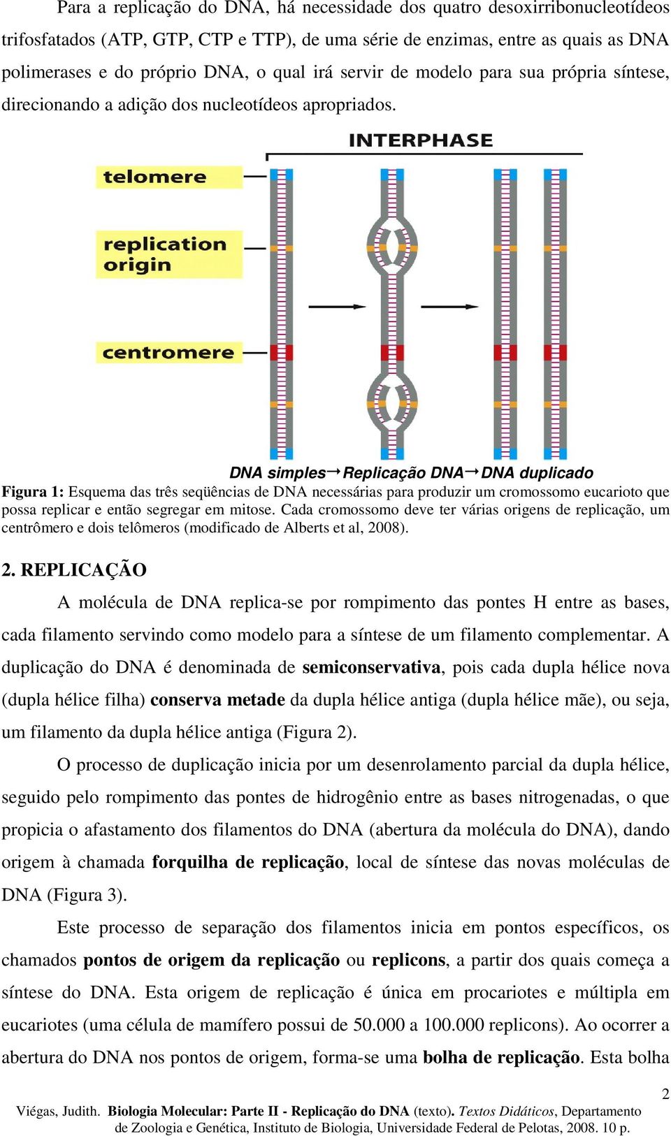 DNA simples Replicação DNA DNA duplicado Figura 1: Esquema das três seqüências de DNA necessárias para produzir um cromossomo eucarioto que possa replicar e então segregar em mitose.