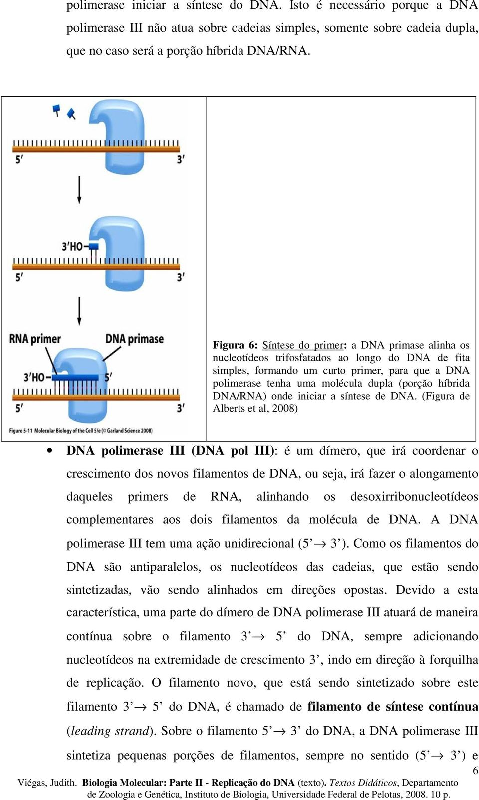 híbrida DNA/RNA) onde iniciar a síntese de DNA.